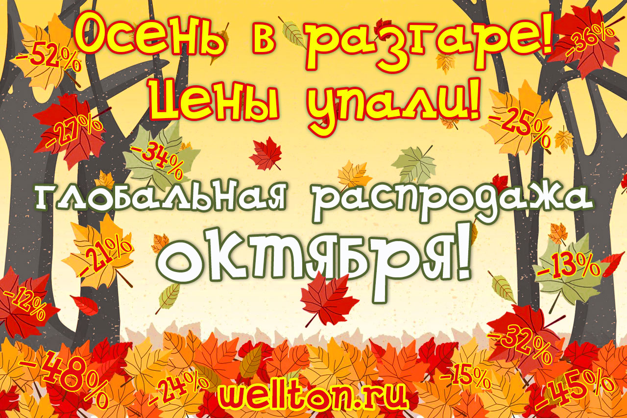 Осень в разгаре! Цены упали!