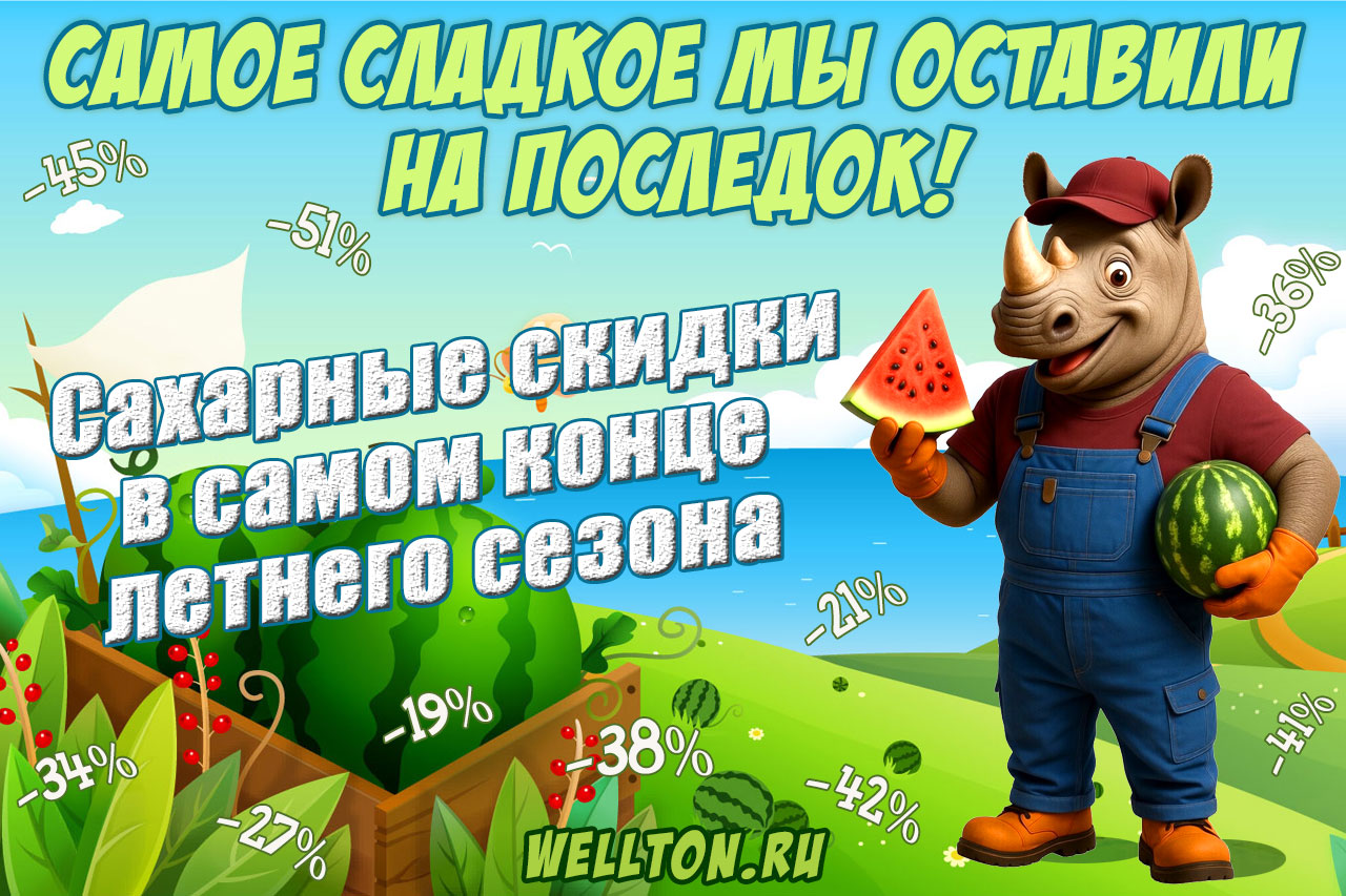 Сахарные скидки в самом конце летнего сезона!
